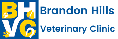 Brandon, MB Veterinarian Animal Clinic | Brandon Hills Veterinary Clinic